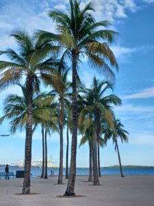 MIAMI- THE MAGIC CITY WAS FIRST BULT BY BLACK MEN