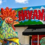 LITTLE HAVANA
